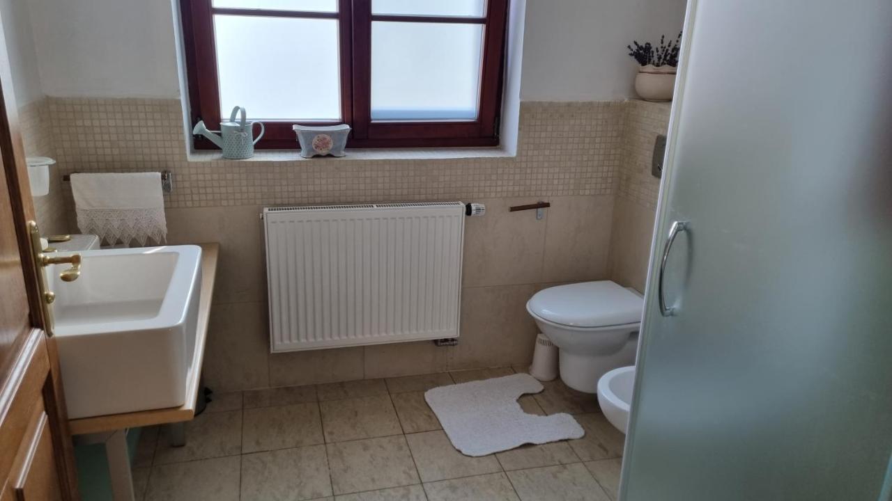 Chateau Radvanov Pension Mlada Vozice 외부 사진